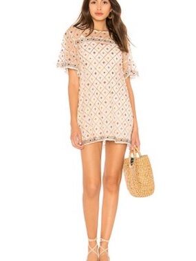Tularosa Blush Embroidered Mini Dress